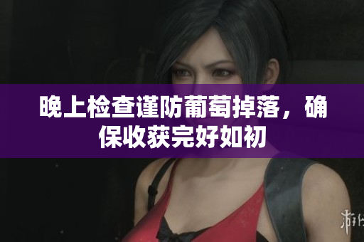 晚上检查谨防葡萄掉落，确保收获完好如初