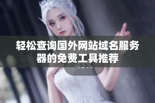 轻松查询国外网站域名服务器的免费工具推荐