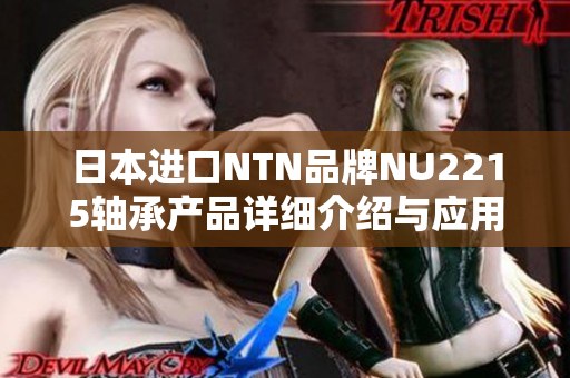 日本进口NTN品牌NU2215轴承产品详细介绍与应用解析