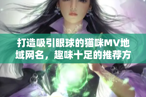 打造吸引眼球的猫咪MV地域网名，趣味十足的推荐方法