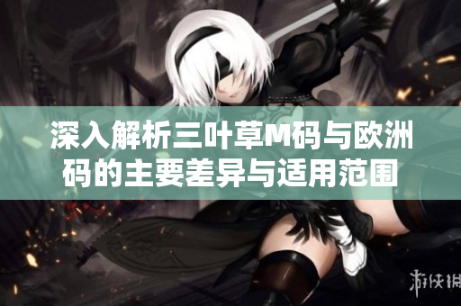 深入解析三叶草M码与欧洲码的主要差异与适用范围