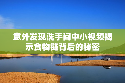 意外发现洗手间中小视频揭示食物链背后的秘密