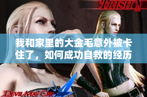 我和家里的大金毛意外被卡住了，如何成功自救的经历分享