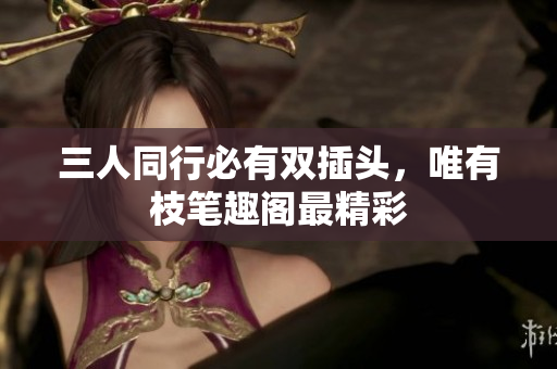 三人同行必有双插头，唯有枝笔趣阁最精彩