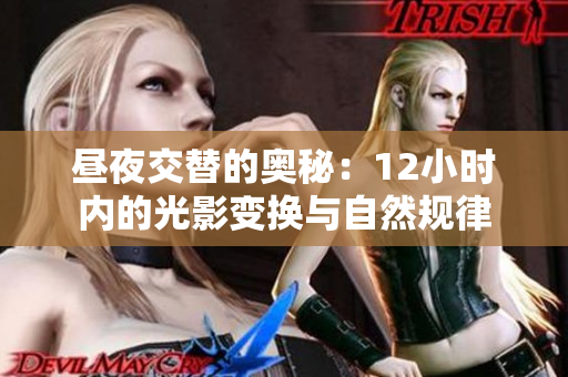 昼夜交替的奥秘：12小时内的光影变换与自然规律