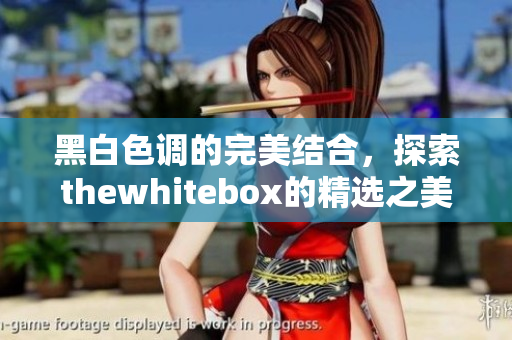 黑白色调的完美结合，探索thewhitebox的精选之美