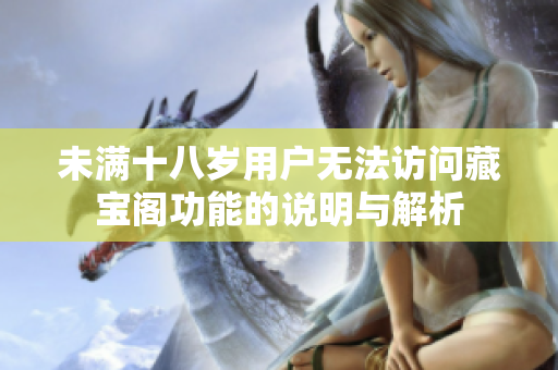 未满十八岁用户无法访问藏宝阁功能的说明与解析