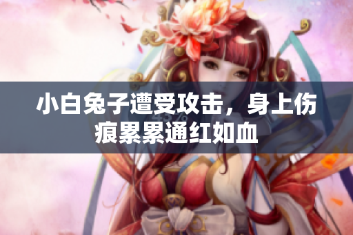 小白兔子遭受攻击，身上伤痕累累通红如血