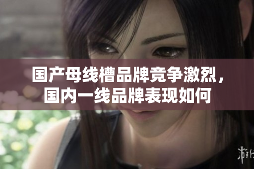 国产母线槽品牌竞争激烈，国内一线品牌表现如何