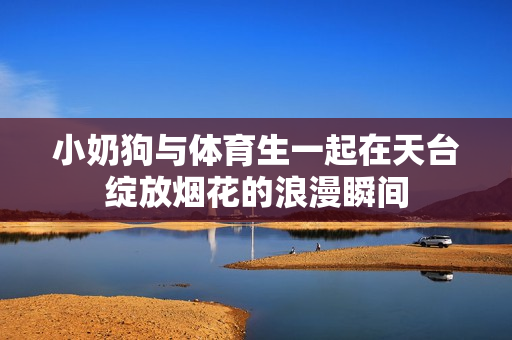 小奶狗与体育生一起在天台绽放烟花的浪漫瞬间