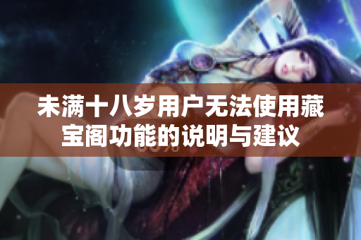 未满十八岁用户无法使用藏宝阁功能的说明与建议