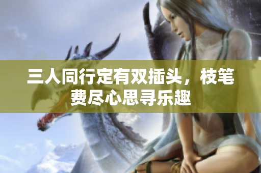 三人同行定有双插头，枝笔费尽心思寻乐趣