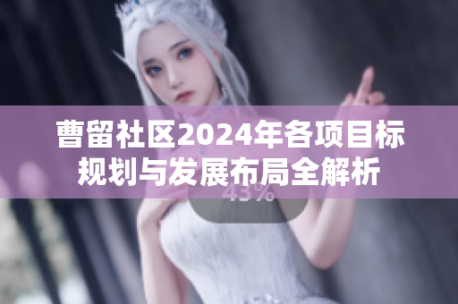 曹留社区2024年各项目标规划与发展布局全解析