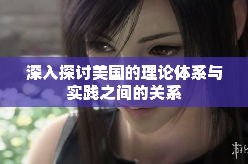 深入探讨美国的理论体系与实践之间的关系