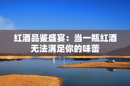 红酒品鉴盛宴：当一瓶红酒无法满足你的味蕾