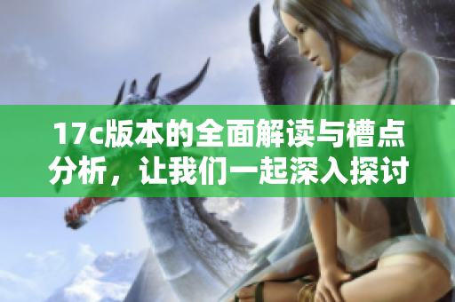 17c版本的全面解读与槽点分析，让我们一起深入探讨