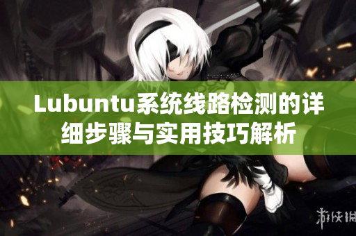 Lubuntu系统线路检测的详细步骤与实用技巧解析