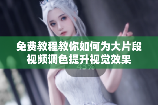 免费教程教你如何为大片段视频调色提升视觉效果