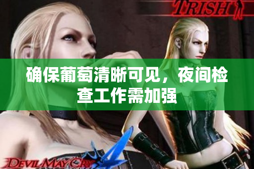 确保葡萄清晰可见，夜间检查工作需加强