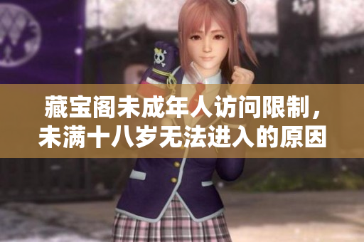 藏宝阁未成年人访问限制，未满十八岁无法进入的原因分析