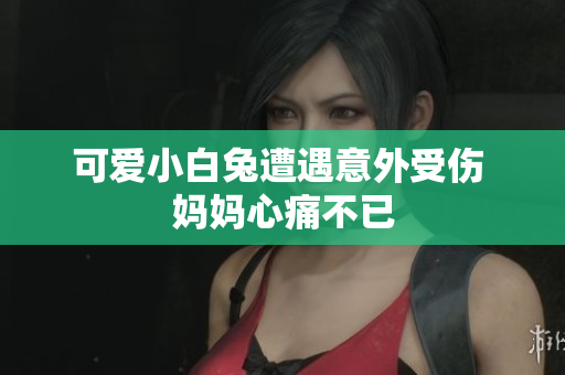 可爱小白兔遭遇意外受伤 妈妈心痛不已
