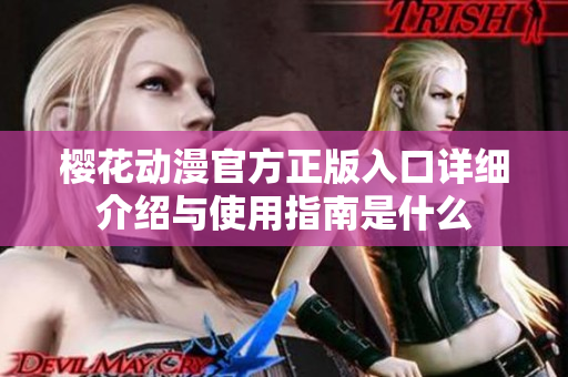 樱花动漫官方正版入口详细介绍与使用指南是什么
