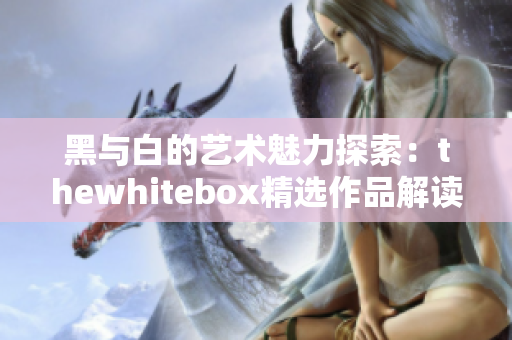黑与白的艺术魅力探索：thewhitebox精选作品解读