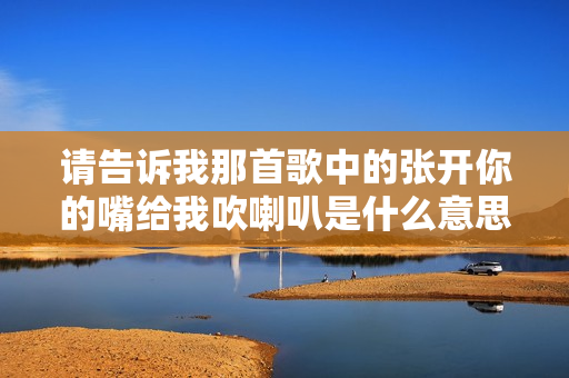 请告诉我那首歌中的张开你的嘴给我吹喇叭是什么意思