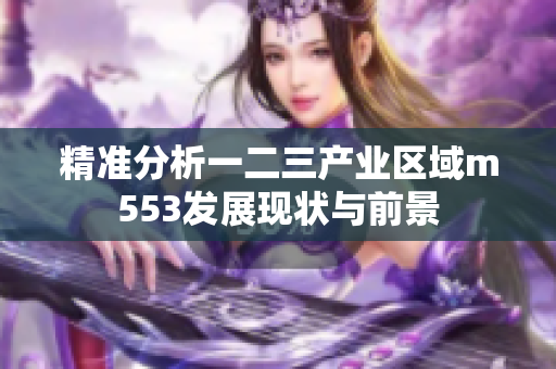 精准分析一二三产业区域m553发展现状与前景