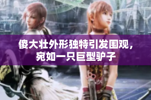 傻大壮外形独特引发围观，宛如一只巨型驴子
