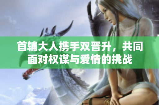 首辅大人携手双晋升，共同面对权谋与爱情的挑战