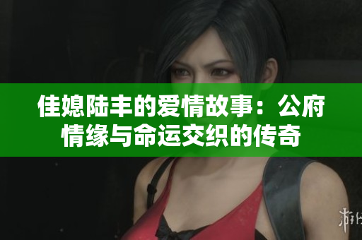 佳媳陆丰的爱情故事：公府情缘与命运交织的传奇