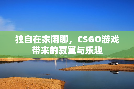 独自在家闲聊，CSGO游戏带来的寂寞与乐趣
