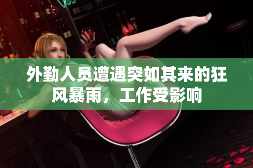 外勤人员遭遇突如其来的狂风暴雨，工作受影响
