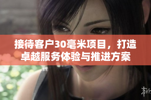 接待客户30毫米项目，打造卓越服务体验与推进方案