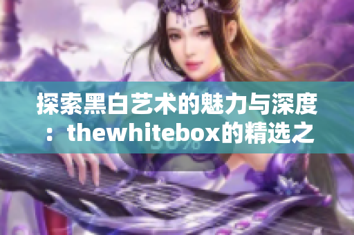 探索黑白艺术的魅力与深度：thewhitebox的精选之作