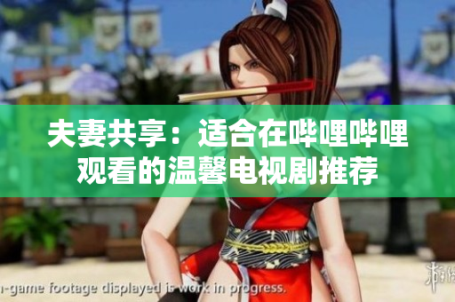 夫妻共享：适合在哔哩哔哩观看的温馨电视剧推荐