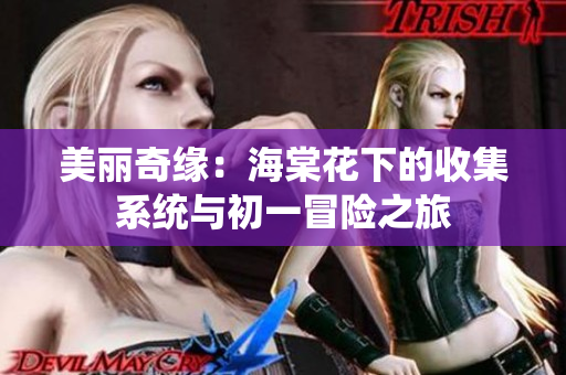 美丽奇缘：海棠花下的收集系统与初一冒险之旅