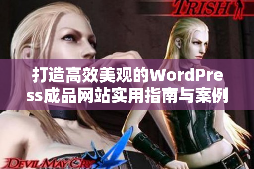 打造高效美观的WordPress成品网站实用指南与案例分享