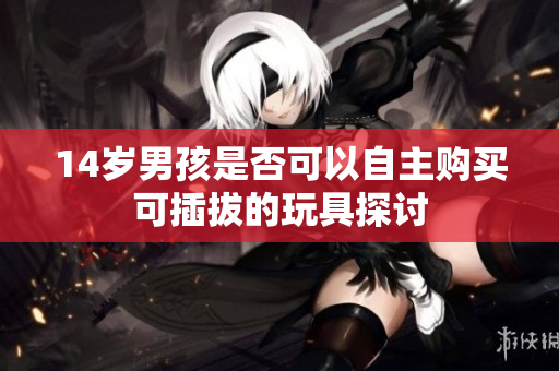 14岁男孩是否可以自主购买可插拔的玩具探讨