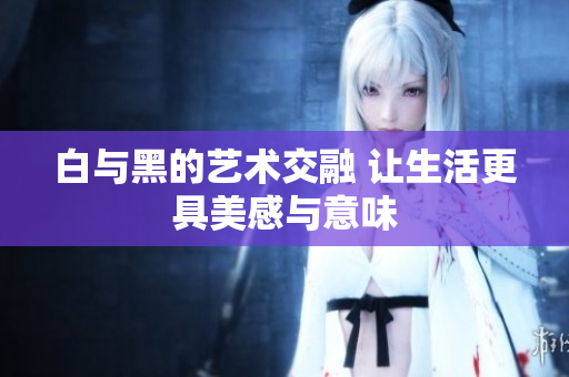 白与黑的艺术交融 让生活更具美感与意味