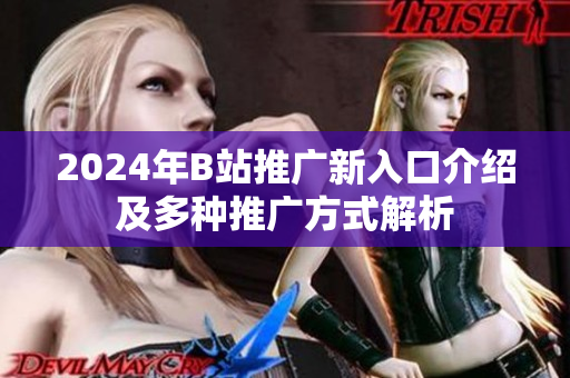 2024年B站推广新入口介绍及多种推广方式解析