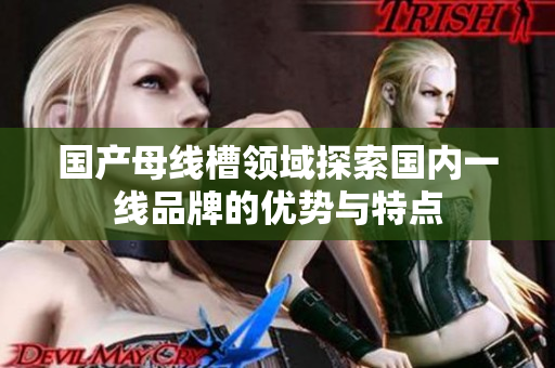 国产母线槽领域探索国内一线品牌的优势与特点