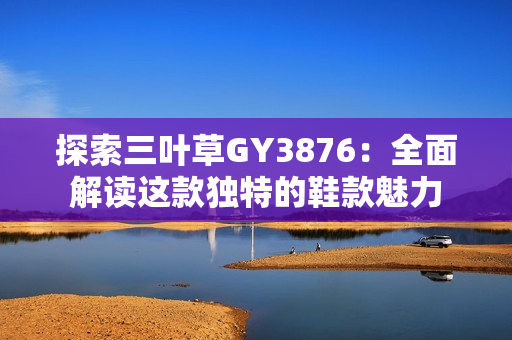 探索三叶草GY3876：全面解读这款独特的鞋款魅力