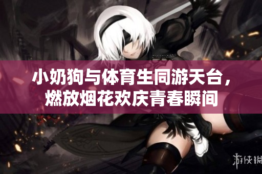 小奶狗与体育生同游天台，燃放烟花欢庆青春瞬间