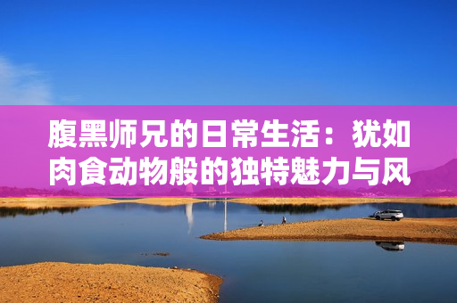 腹黑师兄的日常生活：犹如肉食动物般的独特魅力与风格