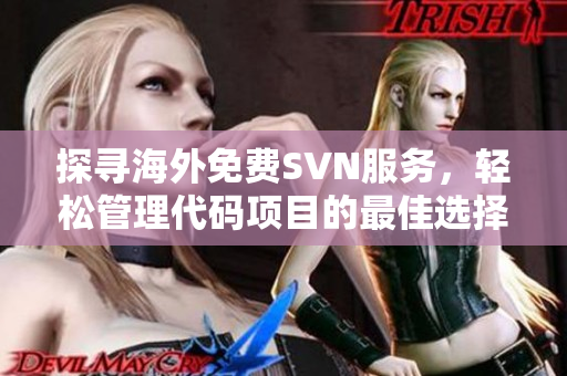 探寻海外免费SVN服务，轻松管理代码项目的最佳选择
