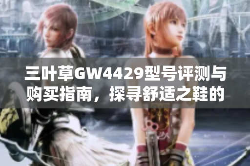 三叶草GW4429型号评测与购买指南，探寻舒适之鞋的魅力