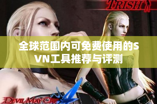全球范围内可免费使用的SVN工具推荐与评测