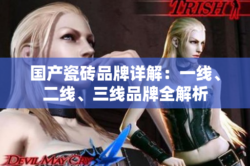 国产瓷砖品牌详解：一线、二线、三线品牌全解析